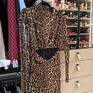 Chic Leopard Print Long Sleeve Dress